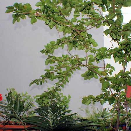 B&B Lili Salerno Zewnętrze zdjęcie
