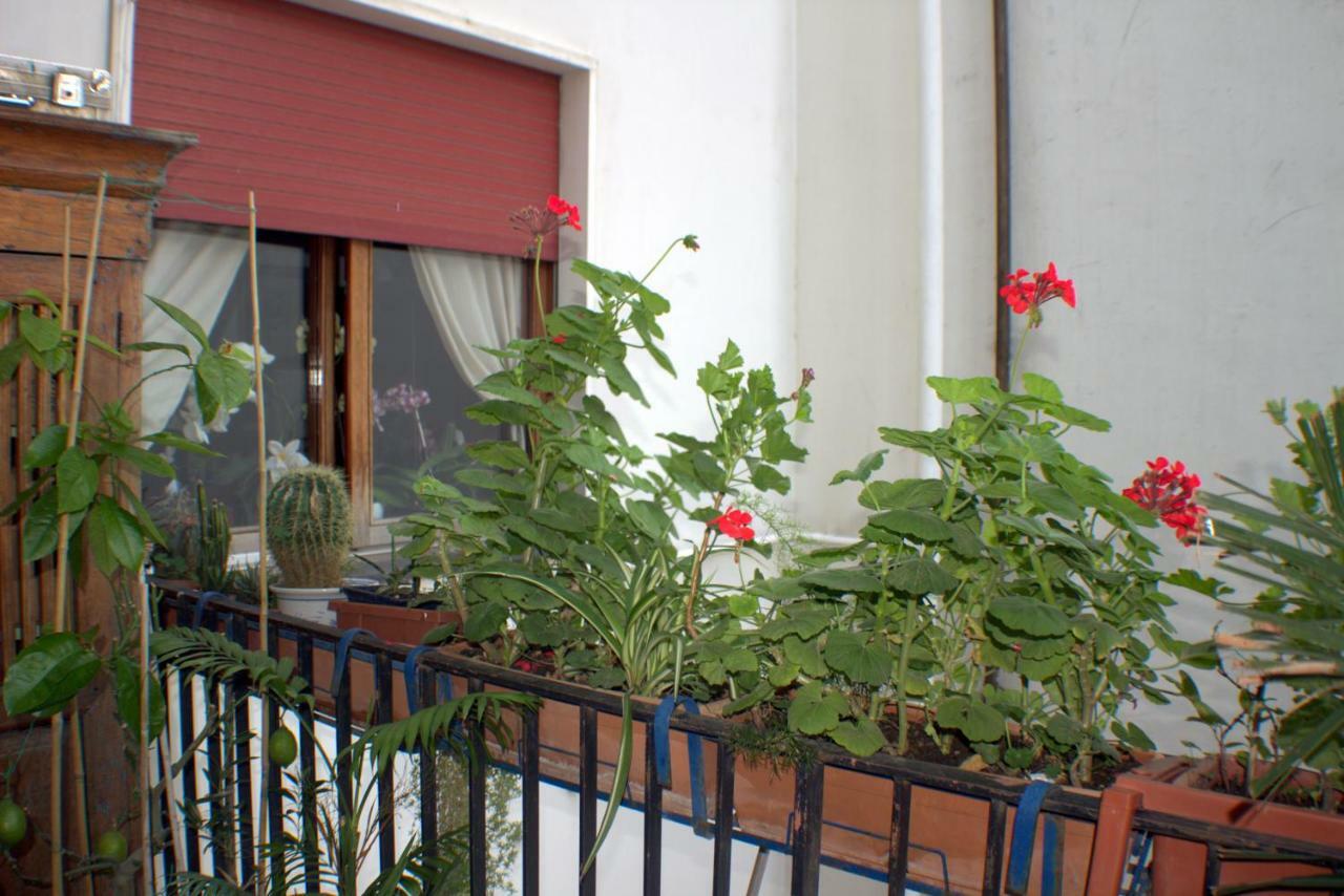 B&B Lili Salerno Zewnętrze zdjęcie